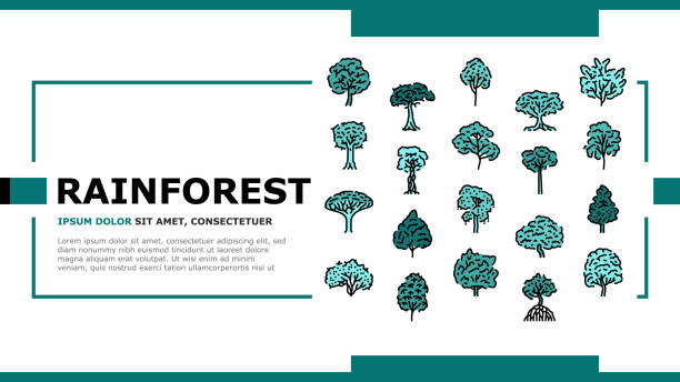 Amazon Forest Icon 20+ Amazon Rainforest Above Stock Illustrations, Royalty-Free Vector ...