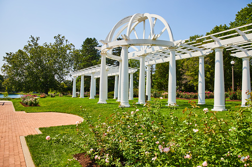 Image of Light pink roses with brick walkway in front of gorgeous white pergola for weddings in park