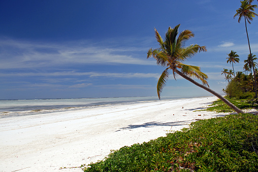 A classic  'paradise' beach on the Indian Ocean coast of East Africa
