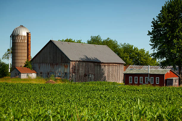 istock Idyllic Wisconsin Farm With Corn Field 174672376