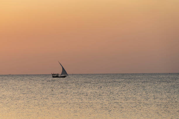 Dhow boat sails in the ocean at sunset, summer concept, Zanzibar in Tanzania.