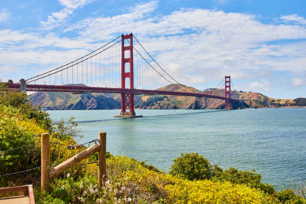 istock Path railing surrounded by yellow flowers on hillside overlooking Golden Gate Bridge in bay 1746731056