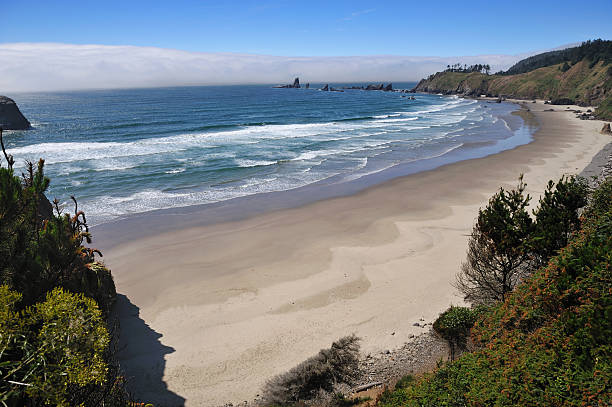 istock Ecola State Park, West Coast, Oregon 174673414