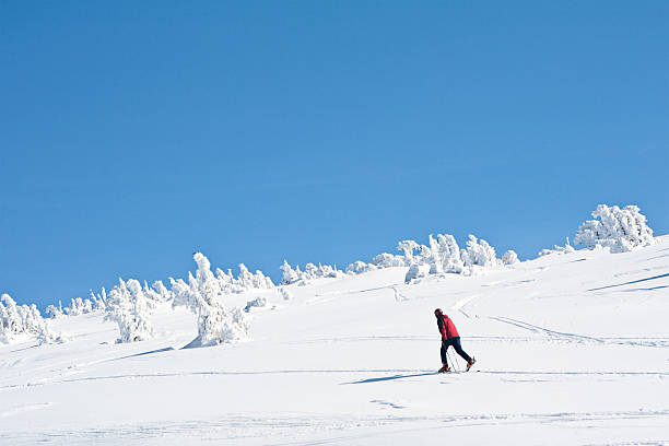겨울맞이 풍경 - clear sky ski footpath snow 뉴스 사진 이미지