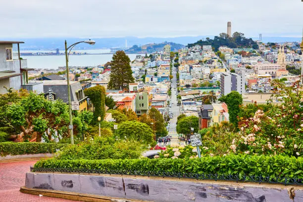 Photo of Red brick Lombard Street road with residential view and Coit Tower in distance