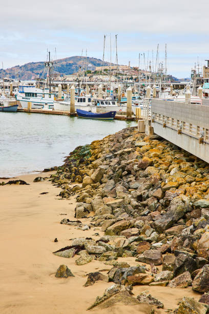 istock Sandy beach with rocky coast leading to ships docked on piers 1746740079