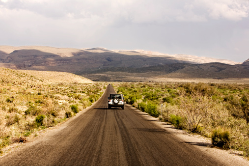 Crossing the Nevada desert in a four wheel steering car.