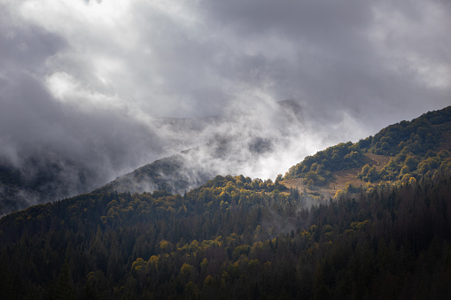 Clouds and fog over a mountain range of forest hills. Dramatic rainy weather. Carpathian mountains.