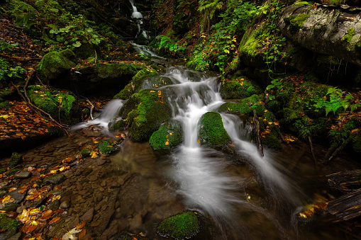 View of a beautiful autumn creek Shipot. Carpathian mountains. Ukraine. Forest water stream between the boulders, covered with green moss. Natural waterfall.