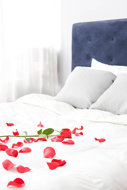 istock Bedroom with Single Rose and Petals on White Comforter, Copyspace 174674368