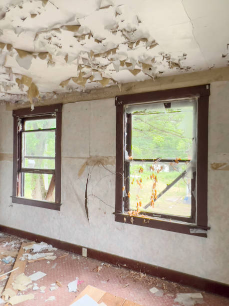 istock broken windows of an abandoned house with pealed ceiling 1746744545