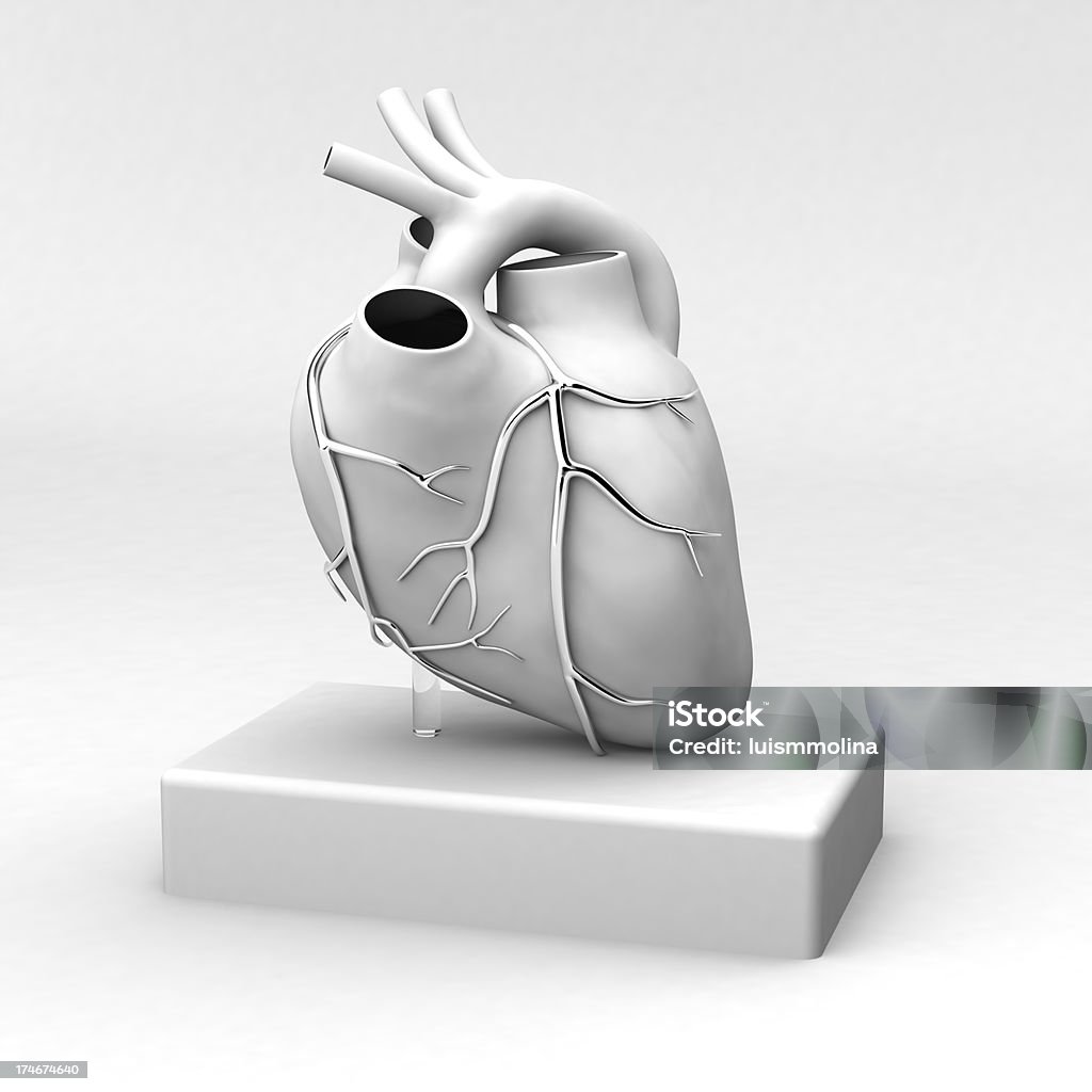 Corazón humano - Foto de stock de Corazón humano libre de derechos
