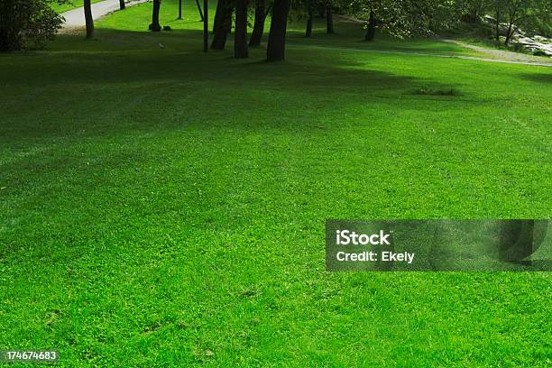 Park Mit Grünen Rasen Stockfoto und mehr Bilder von Baum - Baum, Bildarchiv, Bildhintergrund