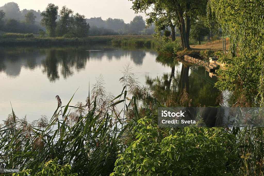 Calm Evening A picturesque view of a pond in the evening. Outdoor shot. Beauty In Nature Stock Photo