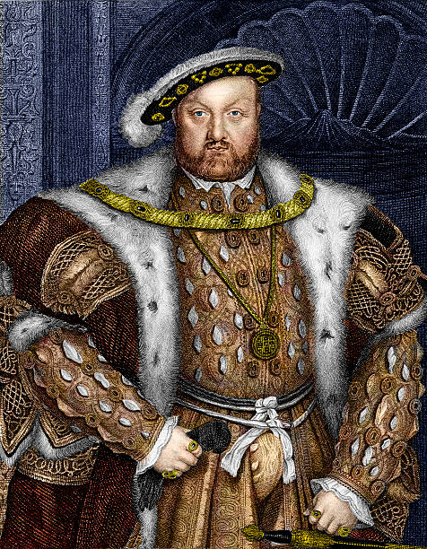 킹사이드 henry viii - tudor style stock illustrations