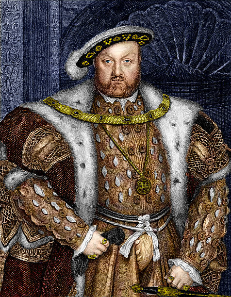 king henry viii - britanya kültürü illüstrasyonlar stock illustrations