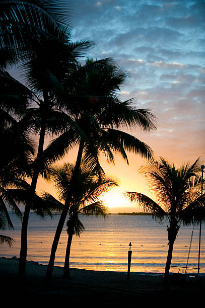 fiji sunset silhouetted tropical con palmeras - pacific ocean tourist resort day reflection fotografías e imágenes de stock