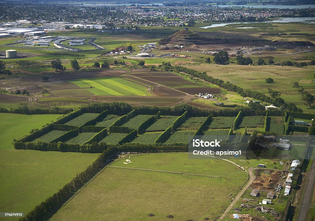 Encima de Auckland - Foto de stock de Agricultura libre de derechos