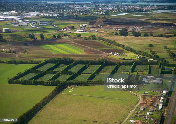 Encima De Auckland Foto de stock y más banco de imágenes de Agricultura - Agricultura, Aire libre, Campo - Tierra cultivada
