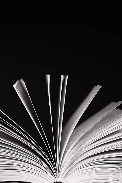 istock Cut image of an opened book on black background 174674966
