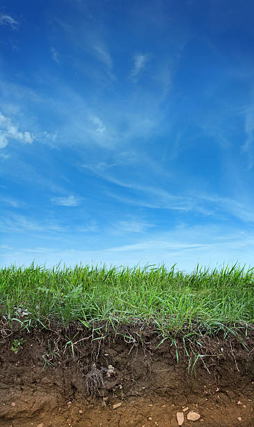 istock Earth, Green Grass and Blue Sky 174675112