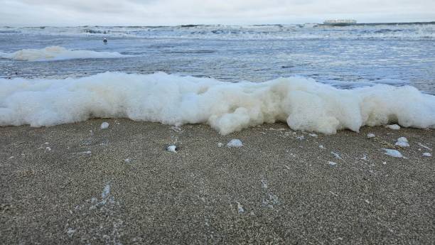 Free Stock Photo of Foamy ocean waves meeting sandy beach | Download ...