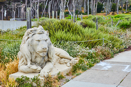 Image of Statue of lion lying down beside sidewalk and surrounded by wildflowers with distant cypress trees