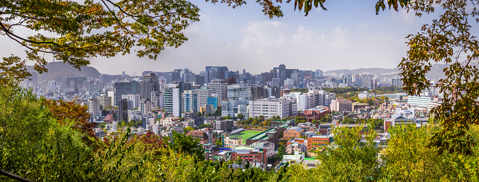 Panoramic view through leafy foliage to the crowded highrise cityscape of central Seoul, South Korea’s vibrant capital city.