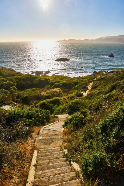 istock Sun shining over ocean with stairs going down green hillside toward shore 1746755832