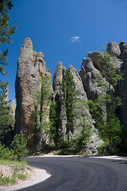 istock Scenic Drive through Custer State Park 174675660