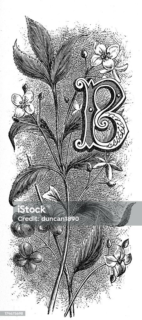 Litera B-Flower Czcionka - Zbiór ilustracji royalty-free (Styl wiktoriański)