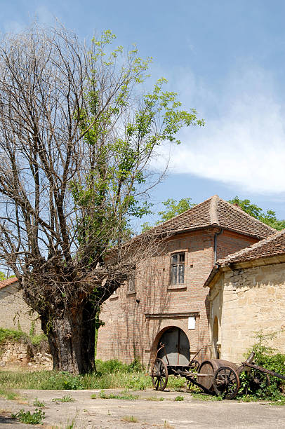 caves à vin traditionnel - wine cellar door house photos et images de collection