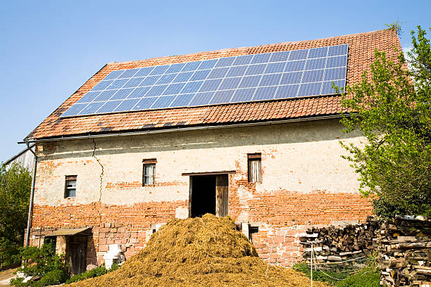 istock Barn and Dung heap  with Solar Panels 174675857