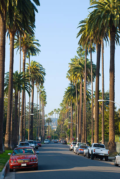 istock Beverly Hills neighborhood 174675926