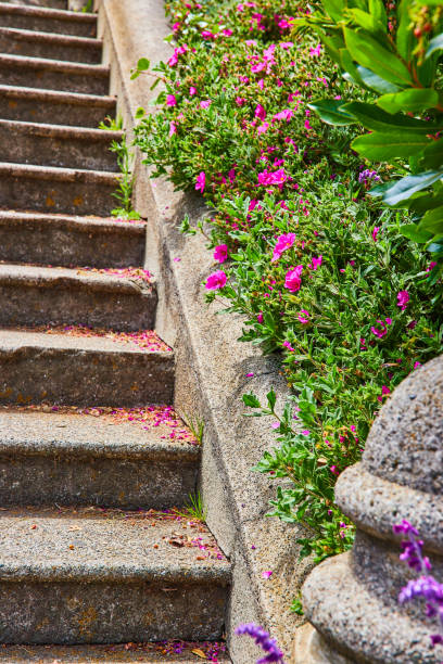 istock Textured concrete stairs going uphill with pink flowering bushes on side dropping petals on stairs 1746762108
