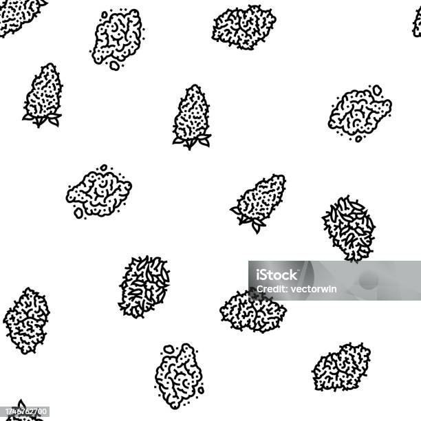 Marijuana Vector Pattern Cannabis Plant Leaf Weed Hemp Vector Seamless Pattern Stock ...