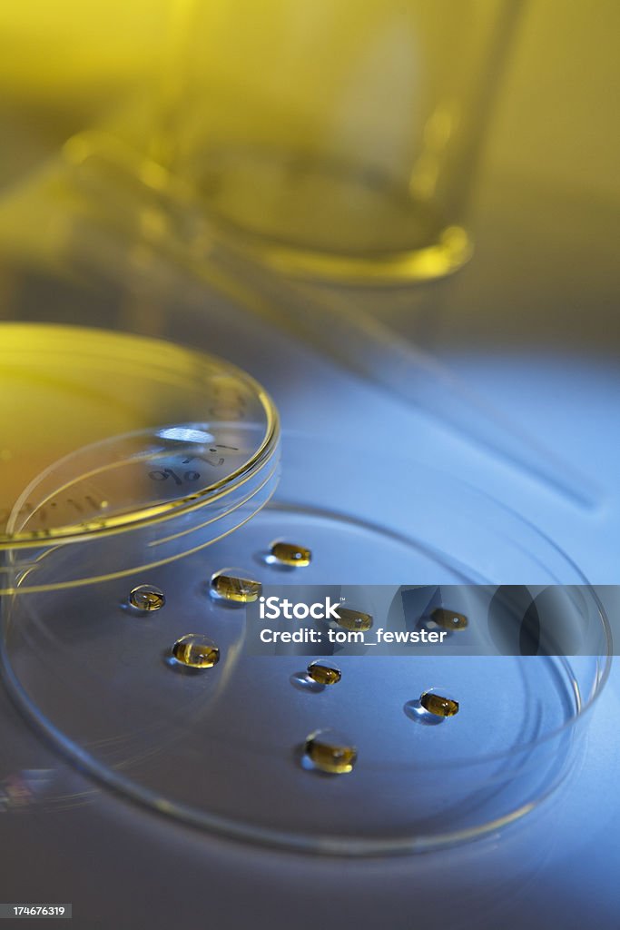 Piastra Petri con gocce di liquido - Foto stock royalty-free di Antibiotico