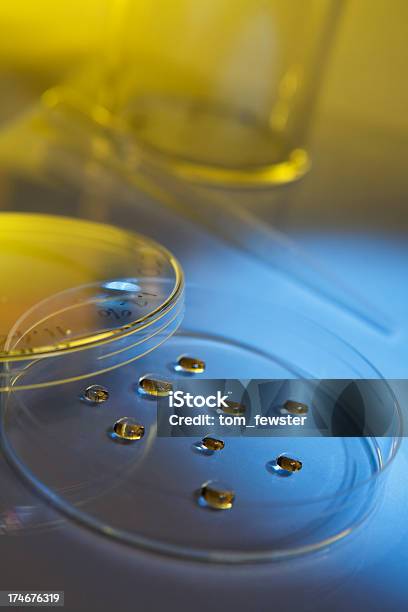 Piastra Petri Con Gocce Di Liquido - Fotografie stock e altre immagini di Antibiotico - Antibiotico, Batterio, Bellezza