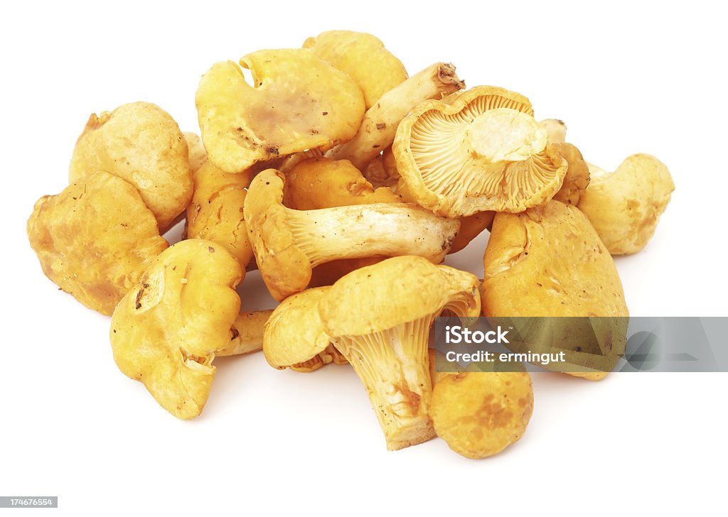 Cogumelo Chanterelle cogumelos isolado no branco - Royalty-free Alimentação Saudável Foto de stock