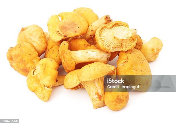 Cogumelo Chanterelle Cogumelos Isolado No Branco - Fotografias de stock e mais imagens de Alimentação Saudável - Alimentação Saudável, Amarelo, Branco