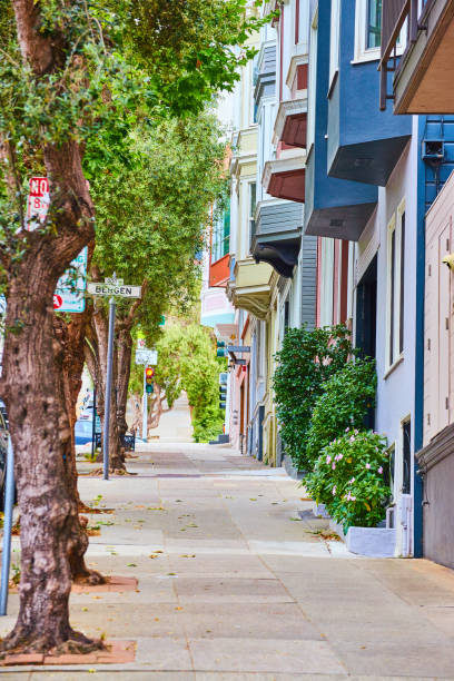 istock Trees lining uphill sidewalk with pastel colored entrances to residential buildings 1746765592