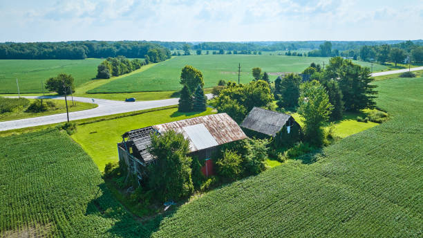 istock Two barns falling apart on soybean farm aerial summer day 1746765616
