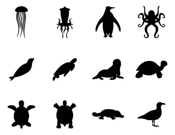 Vector illustration of Icon and illustration of diversity of marine world animals.