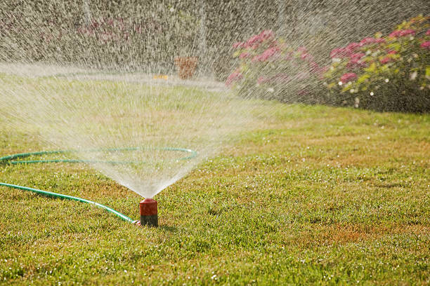 istock Lawn sprinkler # 5 XXXL 174676632