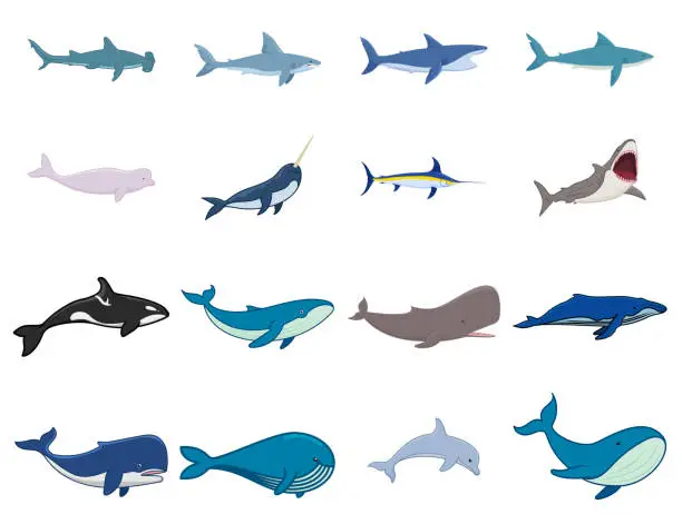 Vector illustration of Set of marine world fish.