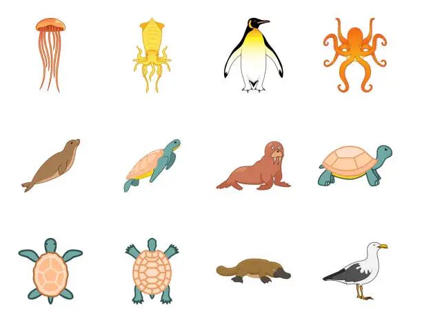 Vector illustration of Icon and illustration of diversity of marine world animals.