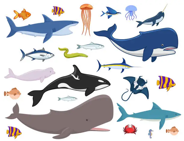 Vector illustration of Illustration of the diversity of fish and the marine world.