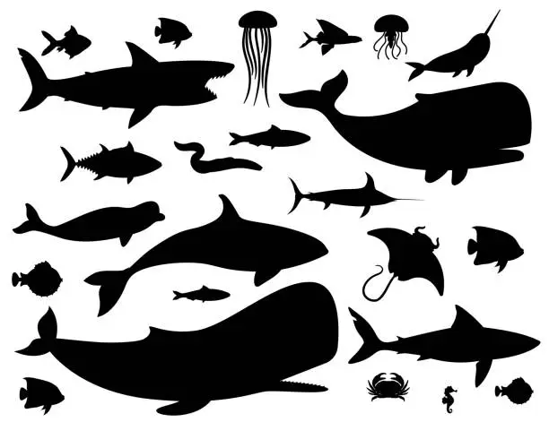 Vector illustration of Fish silhouette.