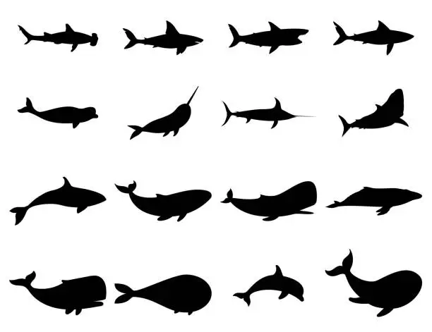 Vector illustration of Set of marine world fish.