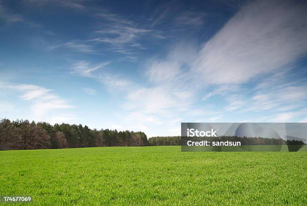 Paese Delle Meraviglie - Fotografie stock e altre immagini di Ambientazione esterna - Ambientazione esterna, Bellezza naturale, Blu